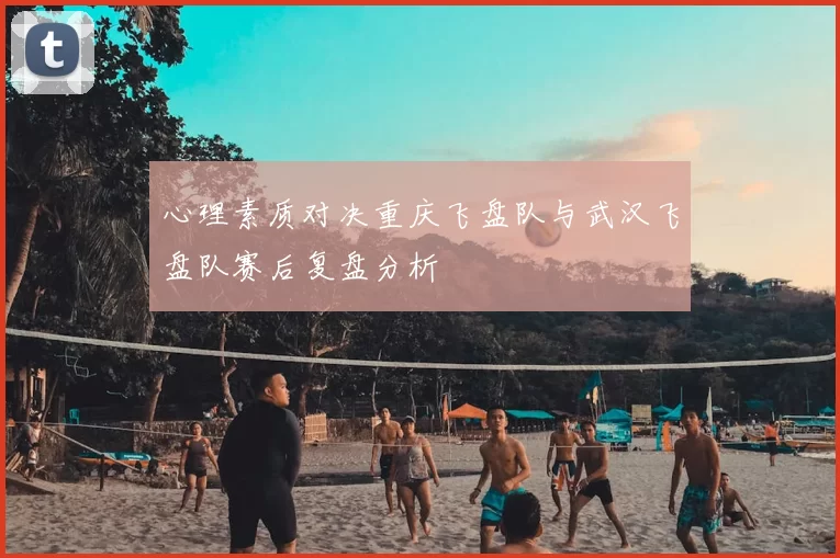 心理素质对决重庆飞盘队与武汉飞盘队赛后复盘分析