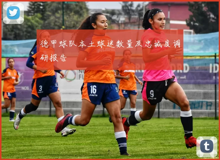 德甲球队本土球迷数量及忠诚度调研报告