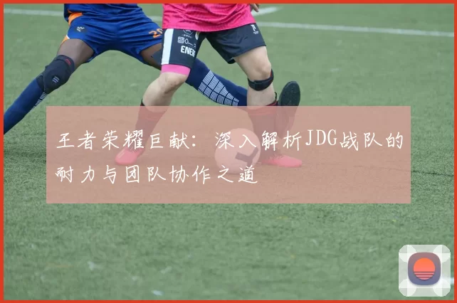 王者荣耀巨献：深入解析JDG战队的耐力与团队协作之道