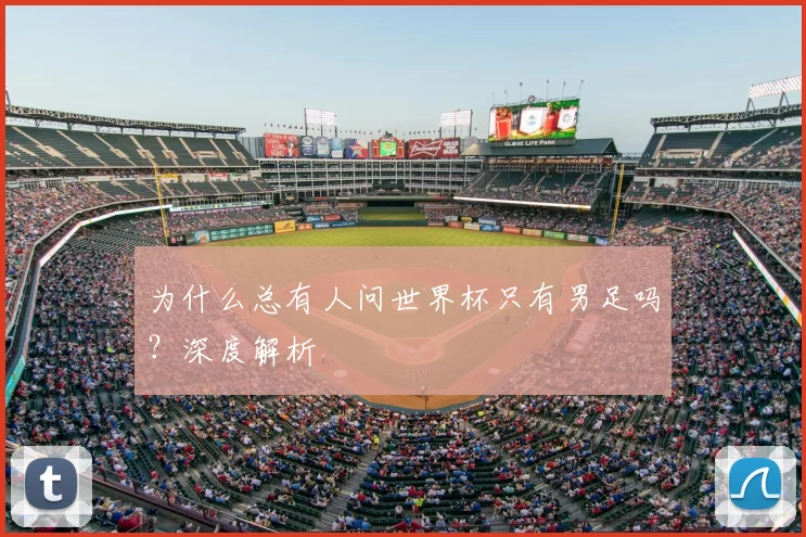 为什么总有人问世界杯只有男足吗?深度解析