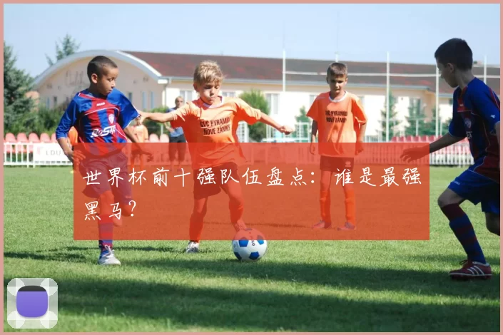 世界杯前十强队伍盘点:谁是最强黑马?