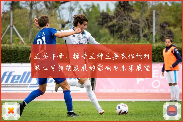 五谷丰登：探寻五种主要农作物对农业可持续发展的影响与未来展望