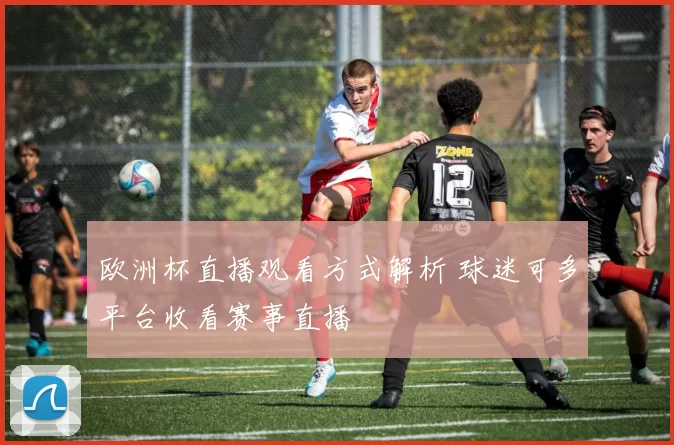 欧洲杯直播观看方式解析 球迷可多平台收看赛事直播