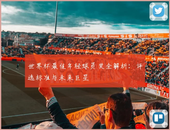世界杯最佳年轻球员奖全解析:评选标准与未来巨星