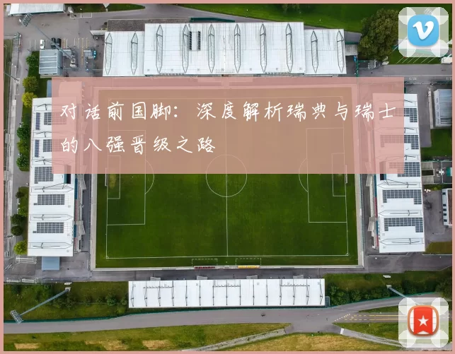 对话前国脚：深度解析瑞典与瑞士的八强晋级之路