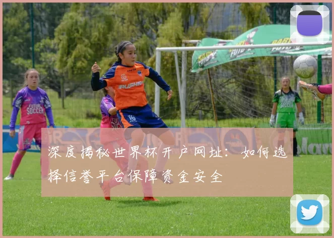 深度揭秘世界杯开户网址:如何选择信誉平台保障资金安全