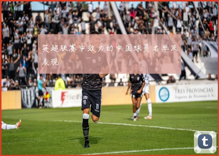 英超联赛中效力的中国球员名单及表现