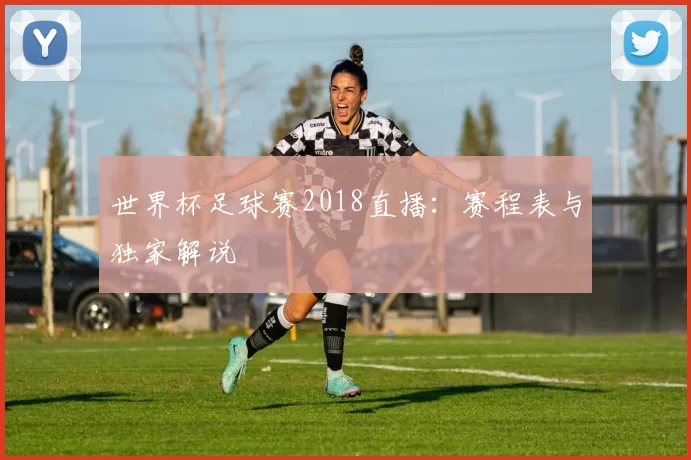 世界杯足球赛2018直播：赛程表与独家解说