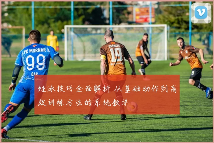 蛙泳技巧全面解析 从基础动作到高效训练方法的系统教学