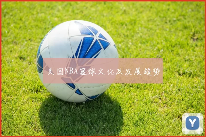 美国NBA篮球文化及发展趋势