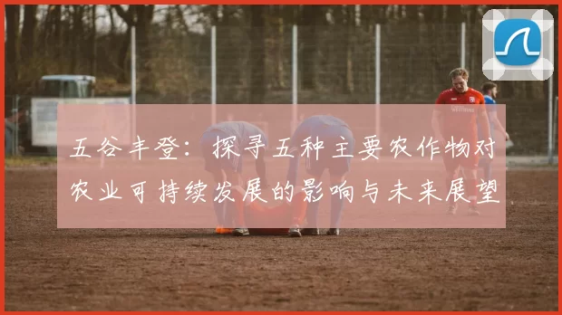 五谷丰登：探寻五种主要农作物对农业可持续发展的影响与未来展望