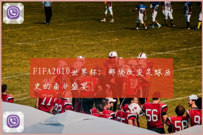 FIFA2010世界杯：那场改变足球历史的南非盛宴