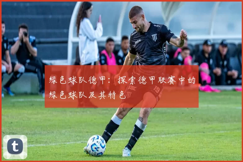 绿色球队德甲：探索德甲联赛中的绿色球队及其特色