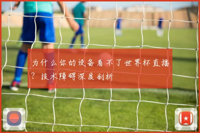 为什么你的设备看不了世界杯直播？技术障碍深度剖析