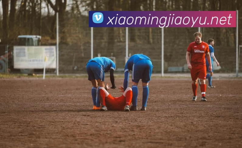 多媒体互动体验