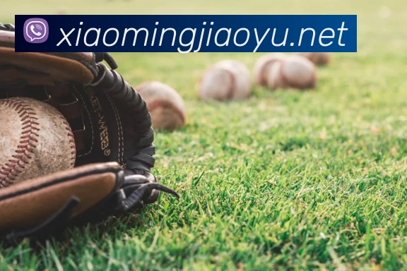 华体会体育APP 体育赛事宣传图